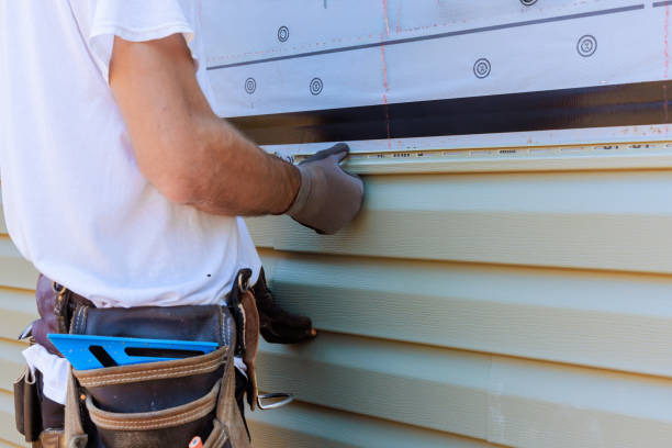 Affordable Vinyl Siding solutions in Richmond, IL